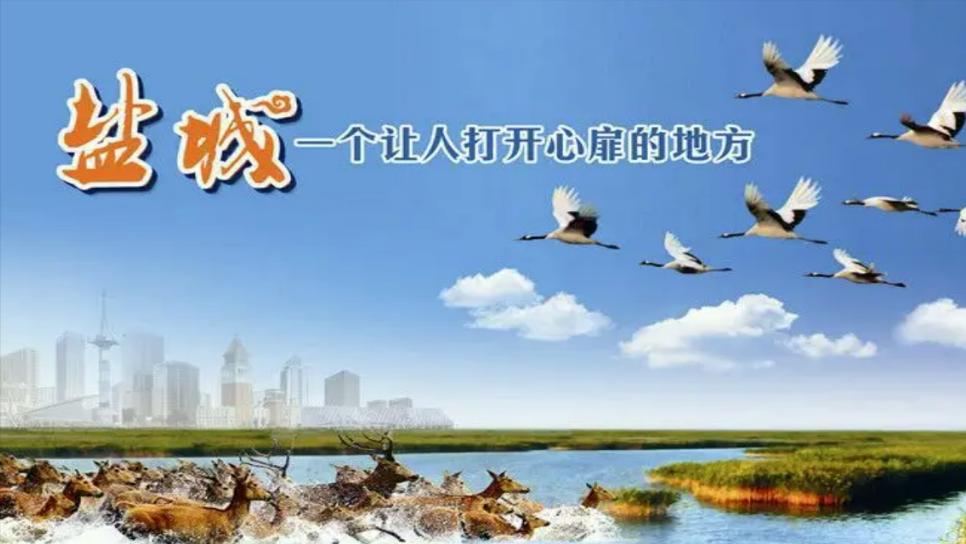 盐城千亿级县区,盐城一座打开心扉的城市图片
