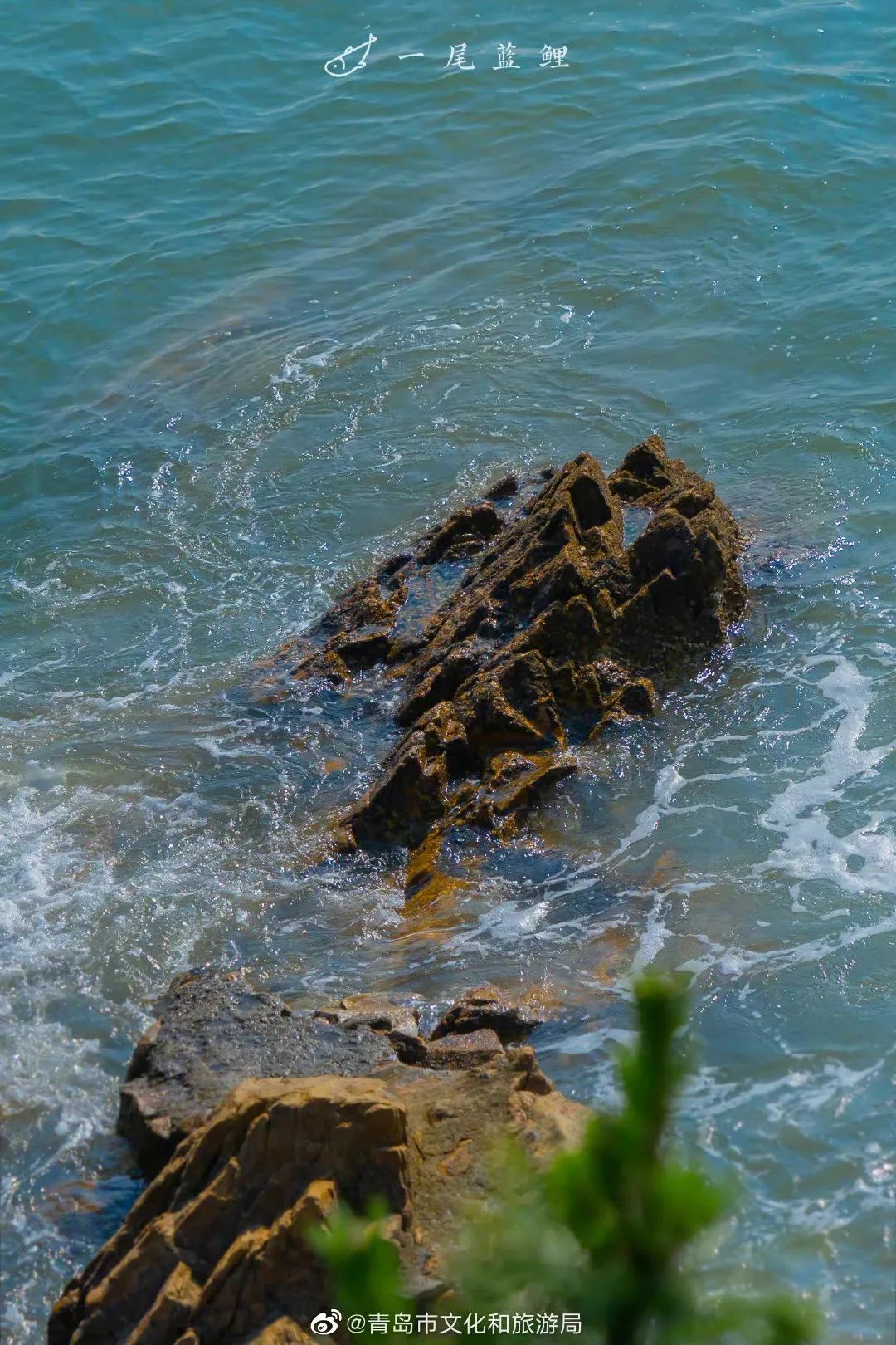 青岛绝美海滩,青岛最好的无人海滩
