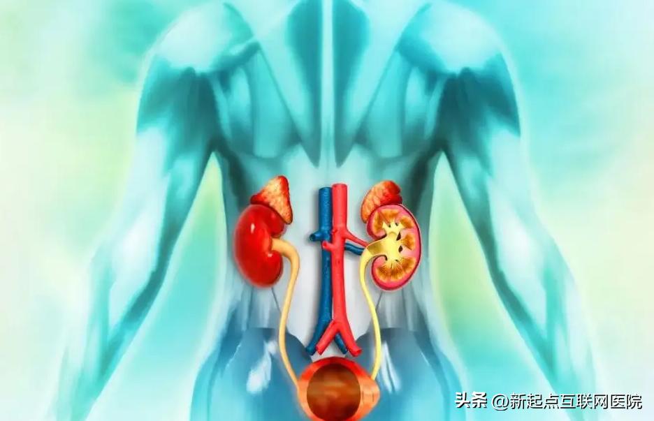 深圳治疗疑难杂症的老中医,深圳最好的泌尿外科专家