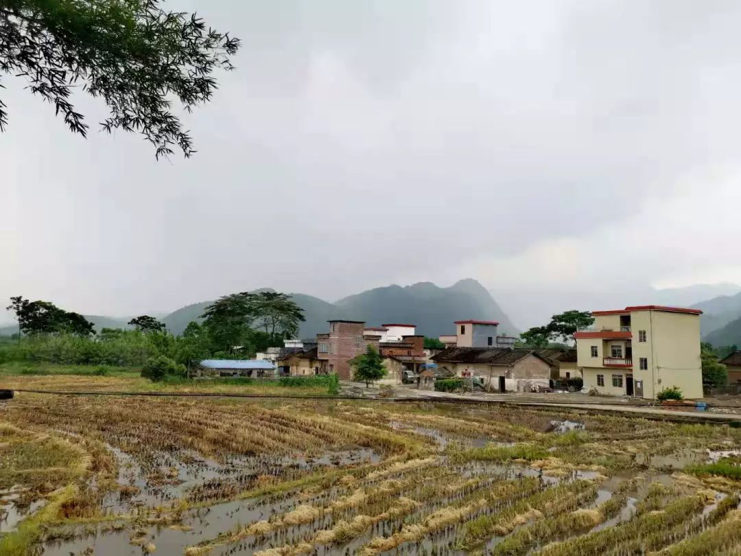 我，药店营业员，月入过万，发现里面有很多猫腻，给大家揭秘一下
