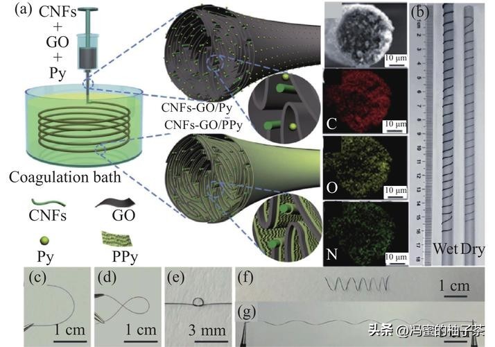 为何分级组织的天然衍生材料,是高性能生物纳米复合材料的候选?