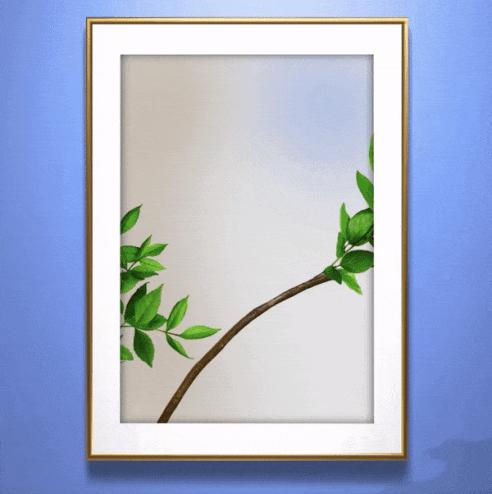 harrywinston漂亮珠宝,harrywinston时尚芭莎