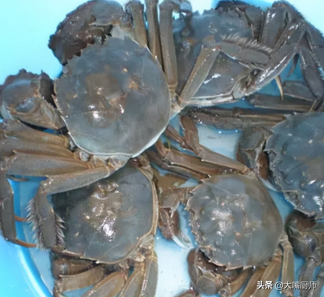 活螃蟹如何保存才能放时间长,新鲜螃蟹是养着还是放冰箱里