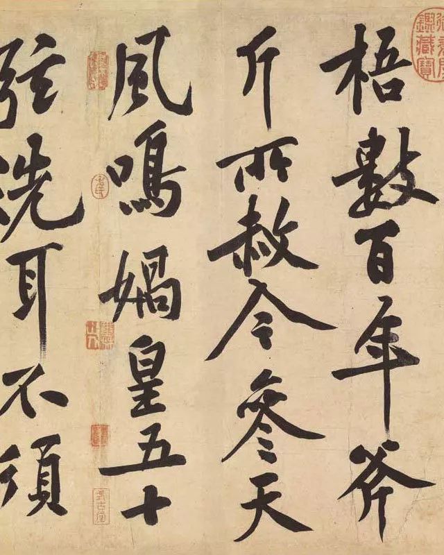 宸ョ瑪鐢绘潹鏅箟鐢诲唽,鏉滈箖鏉ㄦ櫘涔夊畬鏁寸増