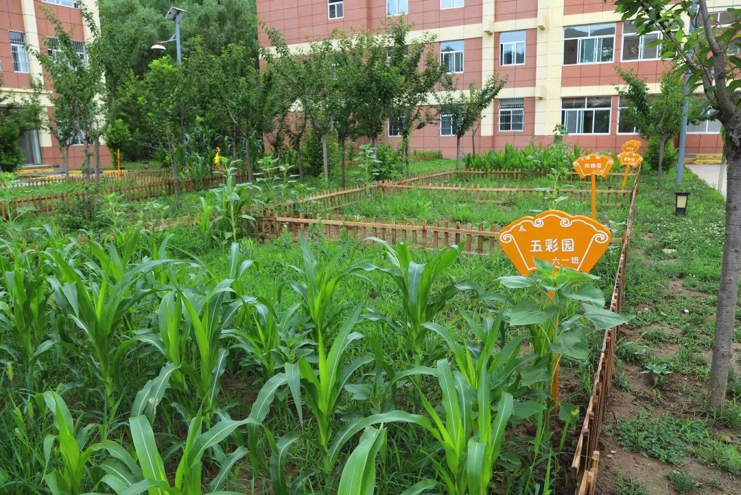 创建国家义务教育优质均衡发展县|走,到黄龙县第二小学看一看!