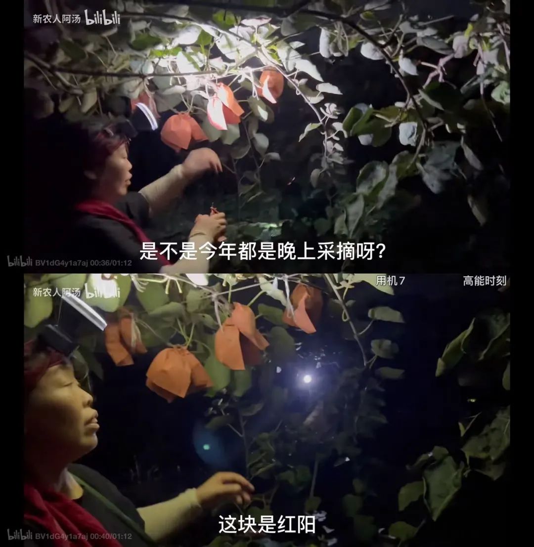 如何利用互联网+打造现代农业,现代化农业种植新模式