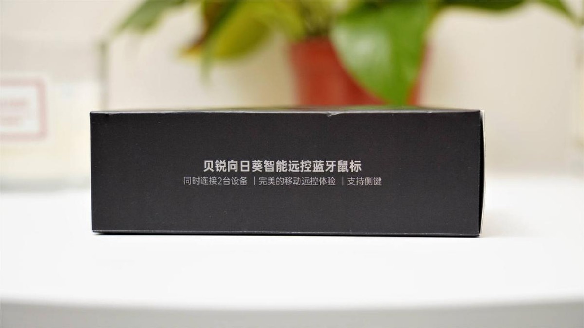 向日葵ipad鼠标,ipad什么蓝牙鼠标最好用