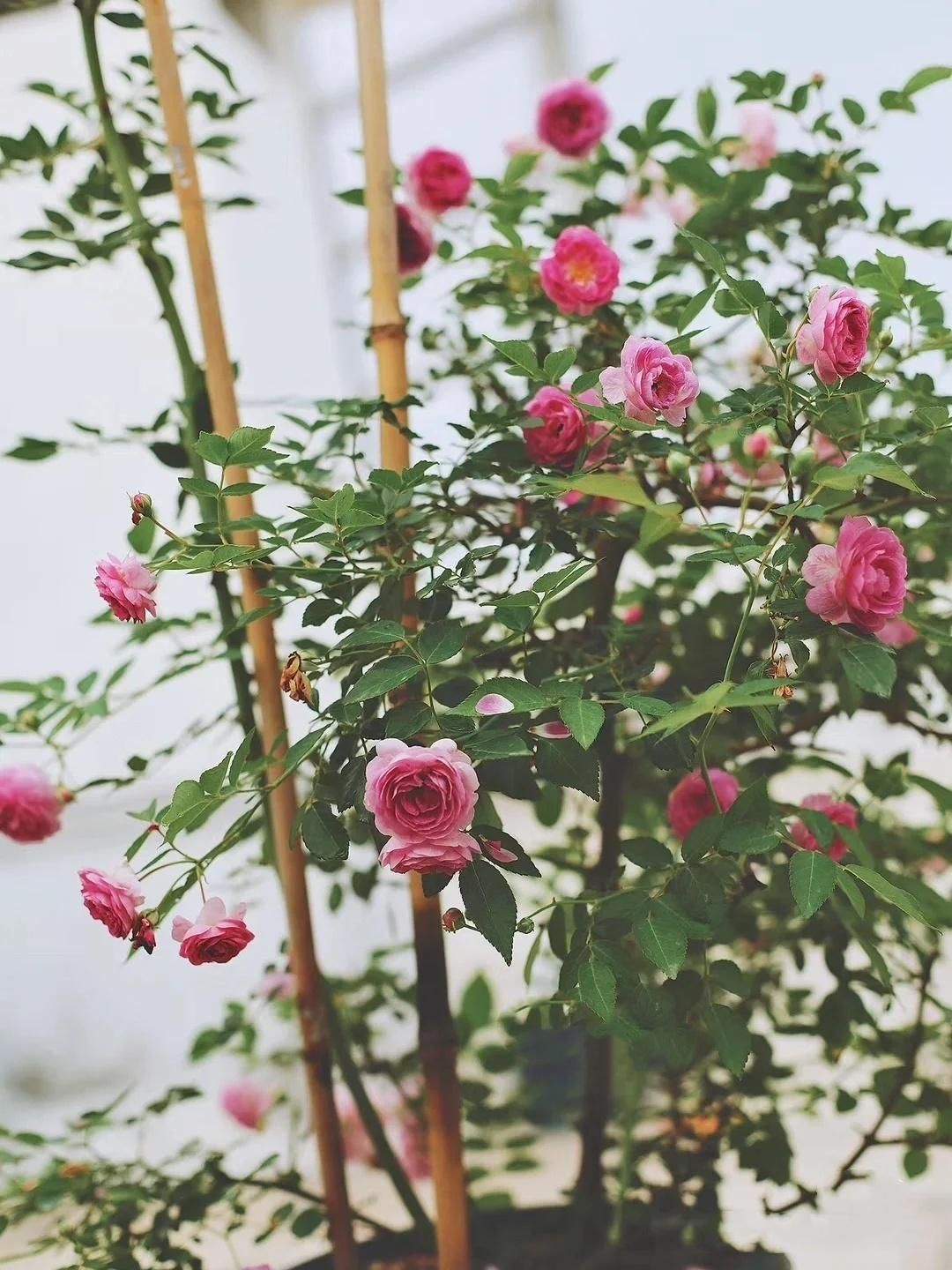 这10首诗词胜过你今年读过的鸡汤,五千年来最有哲理12句诗词太经典