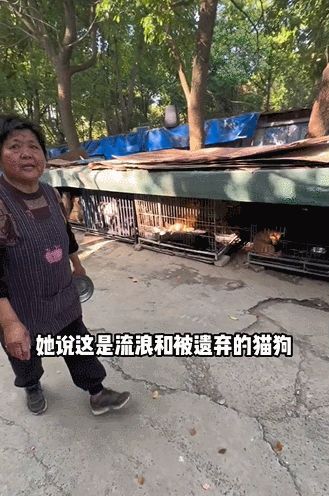 小红书如何快速提高播放量,小红书笔记一个小时点击率破千