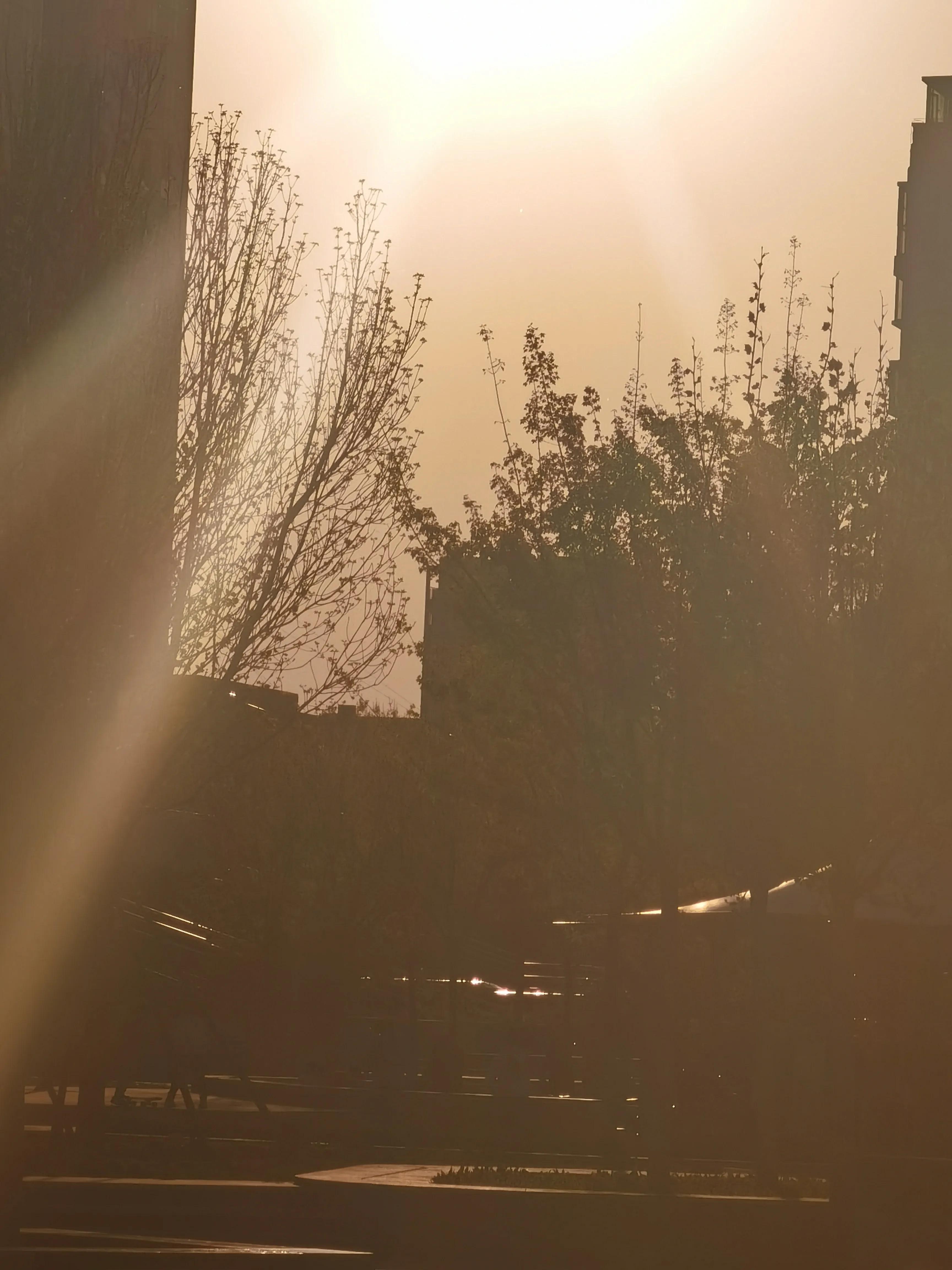 生活日记家的味道,生活札记300字