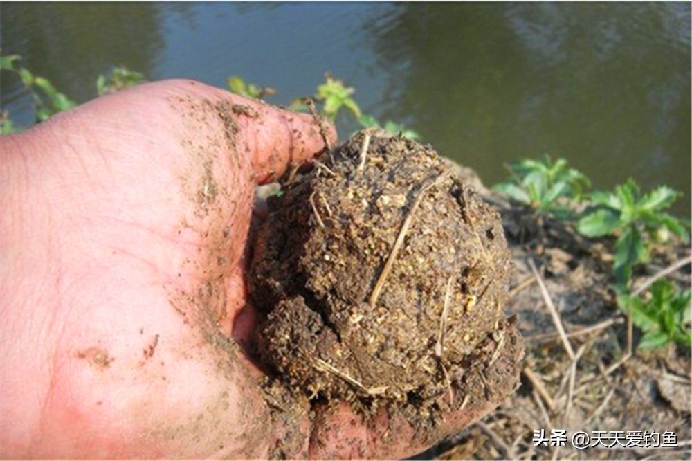 冬季窝料自制配方,冬天窝料绝密配方
