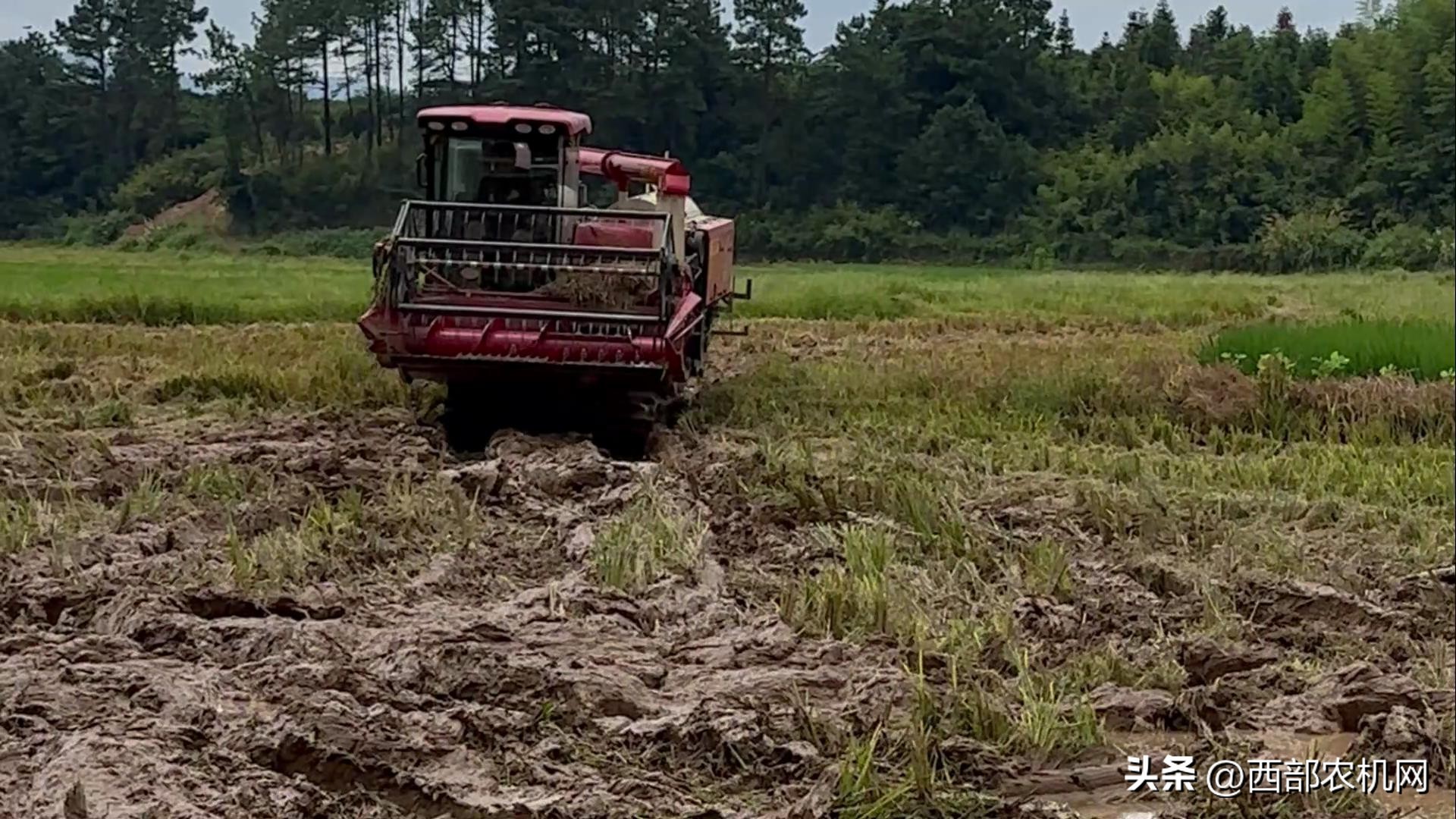 雷沃谷神领航rg70h金刚版,雷沃谷神超越版2018履带型