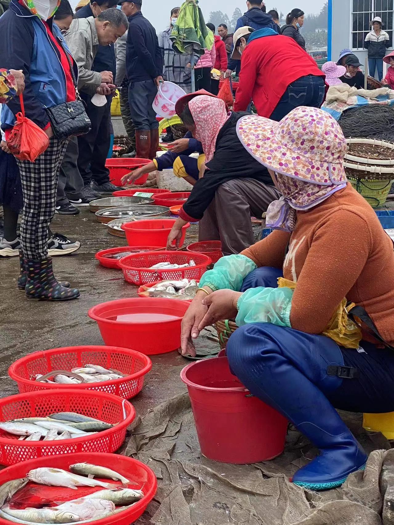 澄迈东水港渔码头,海南澄迈东水码头