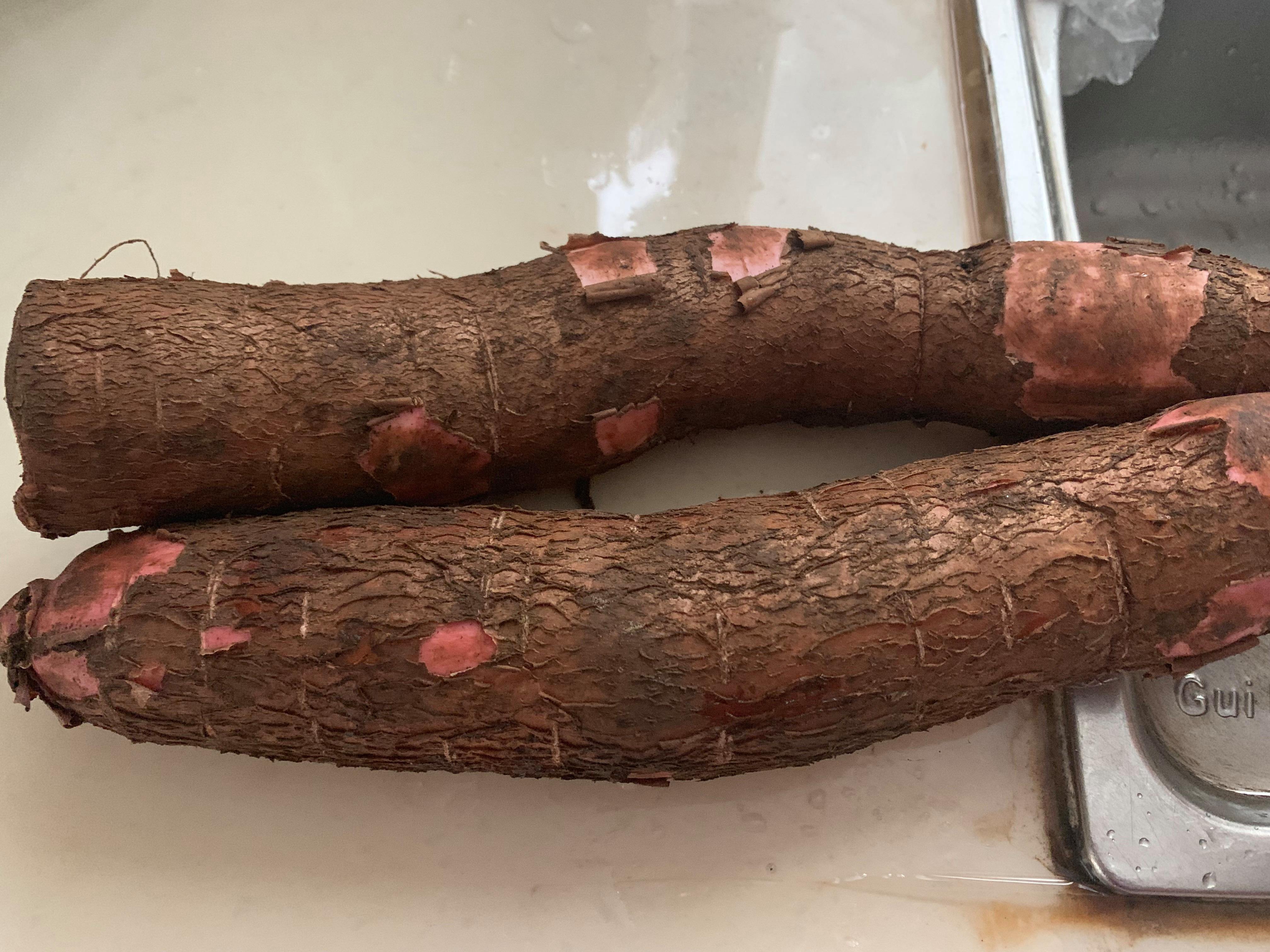 蛊婆、仙娘、草药师大对决，迷信还是本事？揭秘湘西“巫蛊之术”