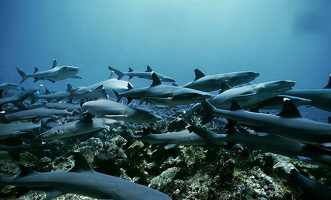 哥斯达黎加和瑞士对决,哥斯达黎加为什么称为中美洲瑞士