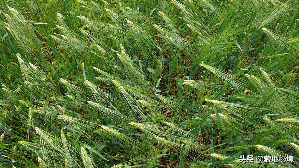 小说失踪假日,小说连载失踪的女人
