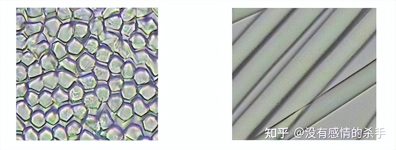 天丝莫代尔和莱赛尔纤维的区别,莱赛尔纤维天丝是什么材质