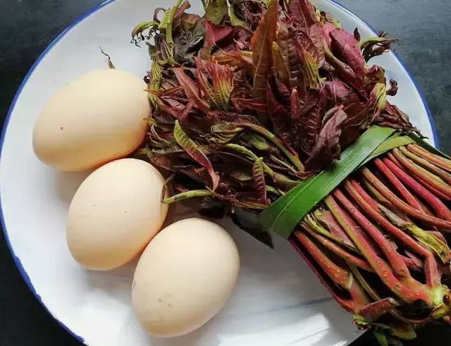 香椿炒鸡蛋致癌吗,香椿炒鸡蛋吃多了多久会中毒