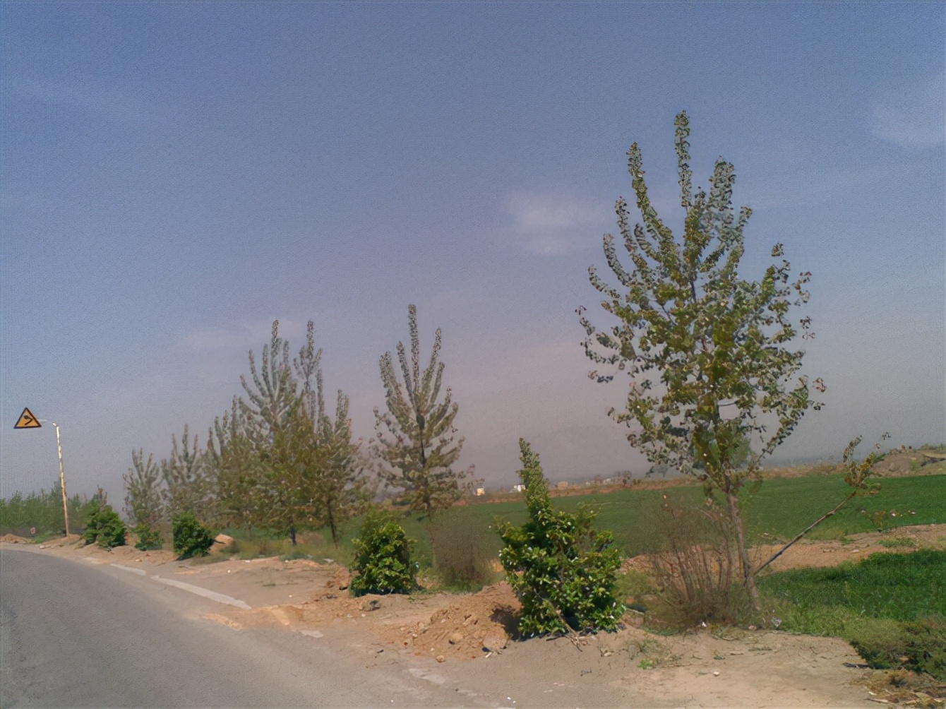 十年前单车小白入坑,骑行入坑从小白到十年的全过程