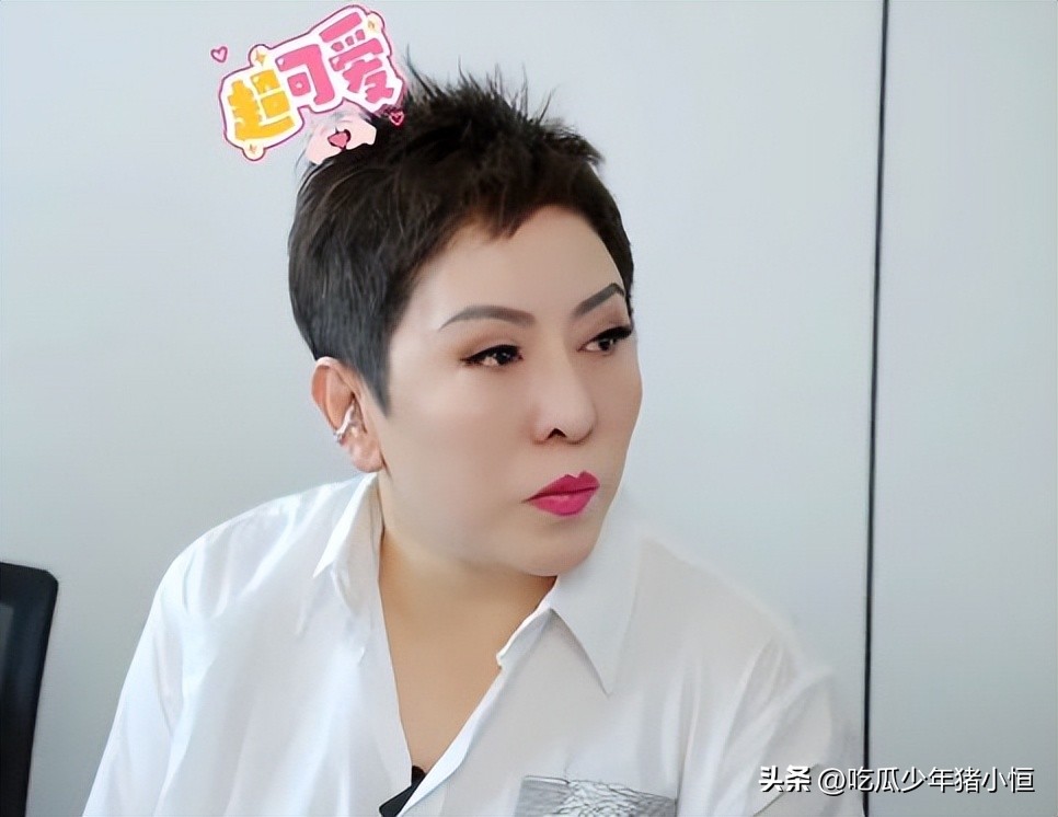 向太最新节目视频,向太首播后掉粉了吗