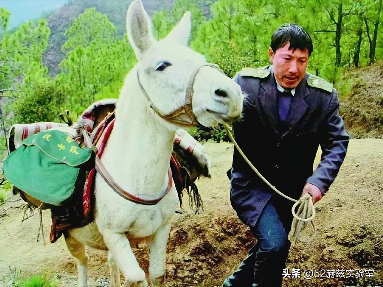 中国邮政快递公司发展历程,各快递现状中国邮政