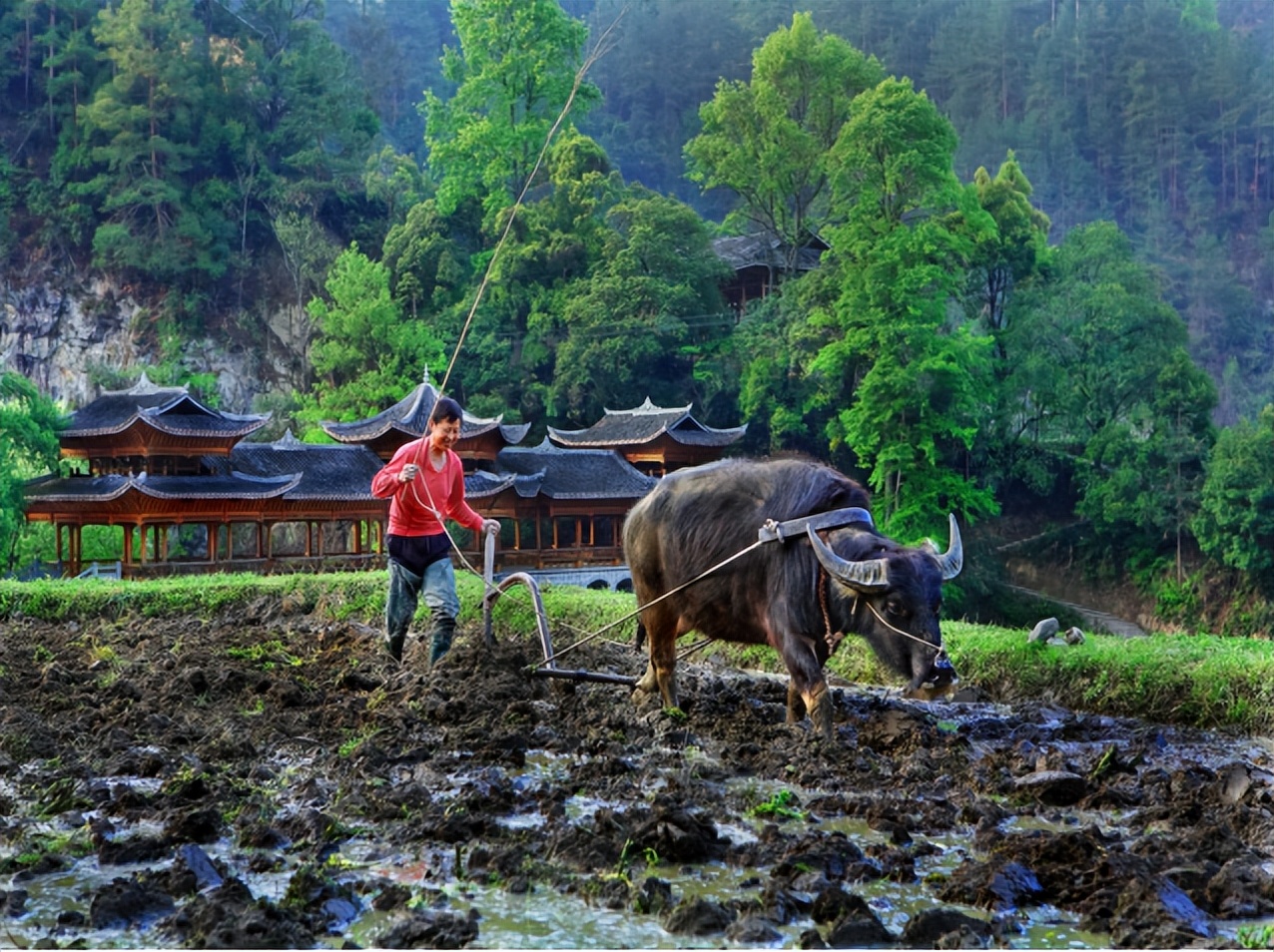 回族不吃猪肉，满族不吃狗肉，那汉族不吃啥肉？很多人却淡忘了