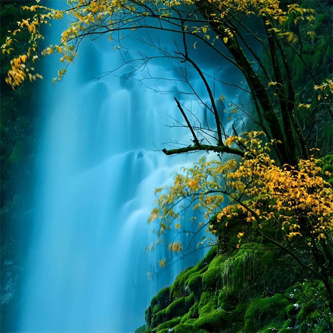 “东马”参赛选手可免票游玩眉山重点收费国家*级A**旅游景区