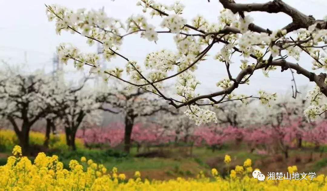 母亲是文盲沟通很困难,妈妈是文盲想认字