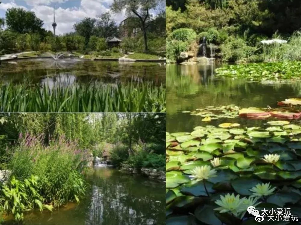 神秘的五个地方,神秘的5个地方