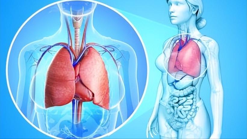 许多医生为什么不建议磁共振检查,磁共振检查有什么好处和坏处