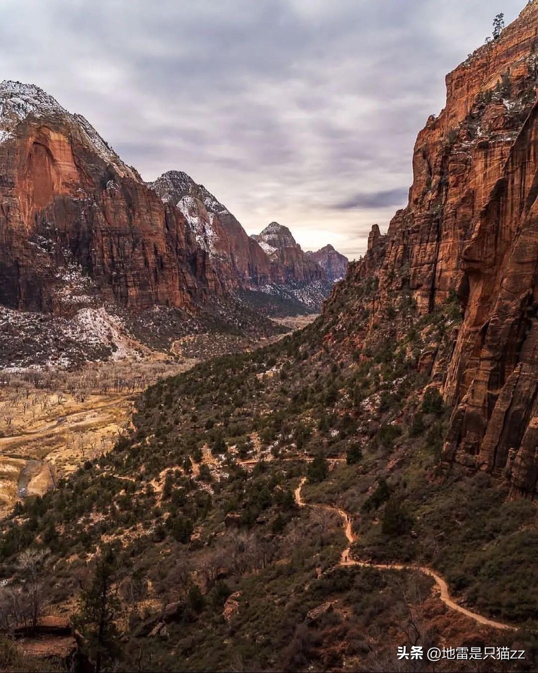 2023年7月26日星座运势,2023年6月19日至25日星座运势