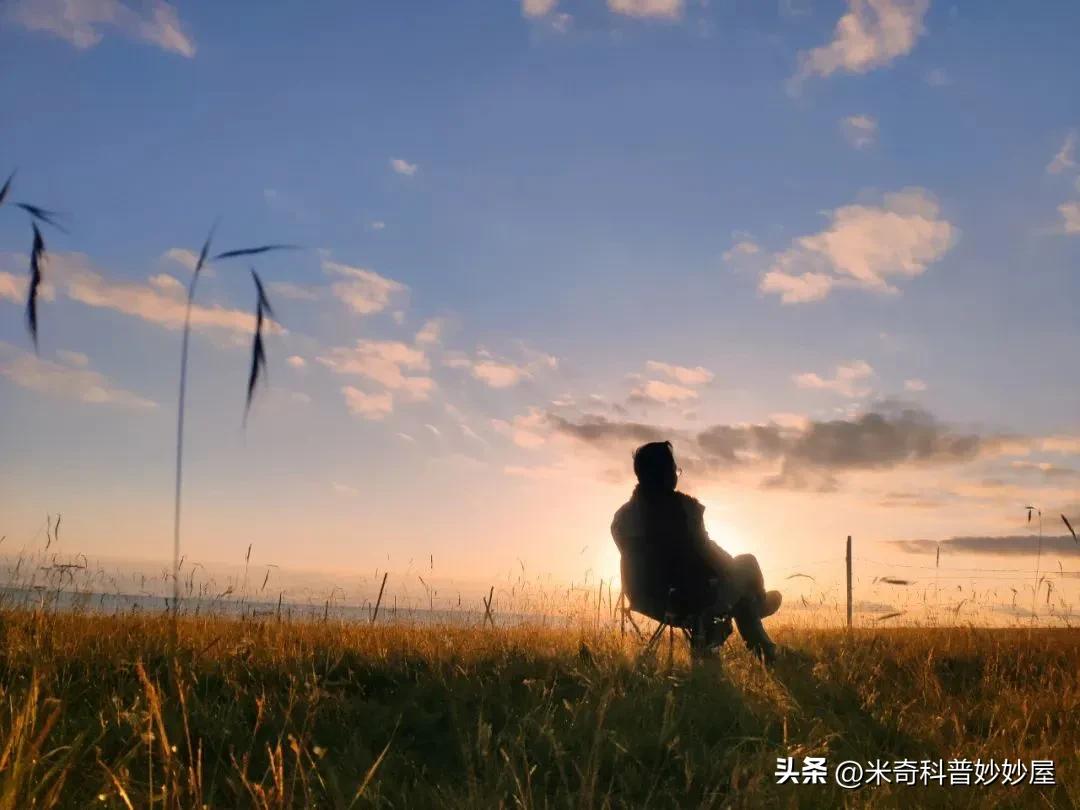 体力劳动能提高身体素质吗,男性体力活