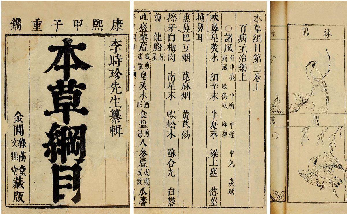 清风散热散治疗小儿风热性感冒？中医仅靠这一方子靠谱吗？