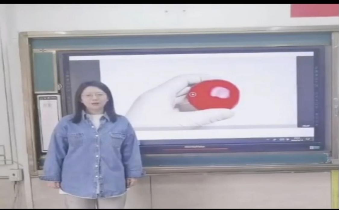 海龙湖小学综合实践活动,青岛湖岛小学课堂