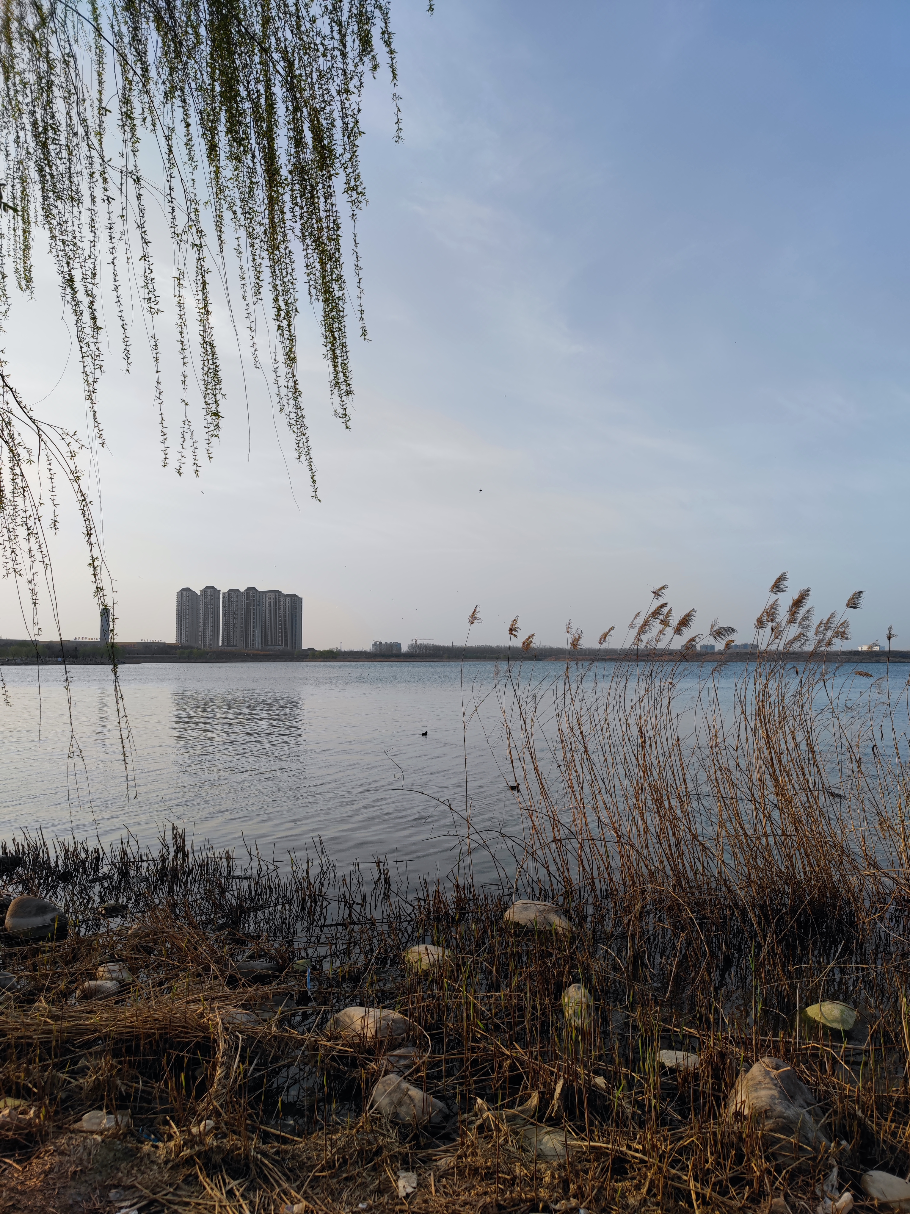 邯郸疫情旅游攻略,疫情当前少去人多的地方