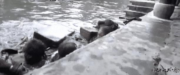 孙红雷评大嫂,一句大嫂把汪曼春的智商降为零