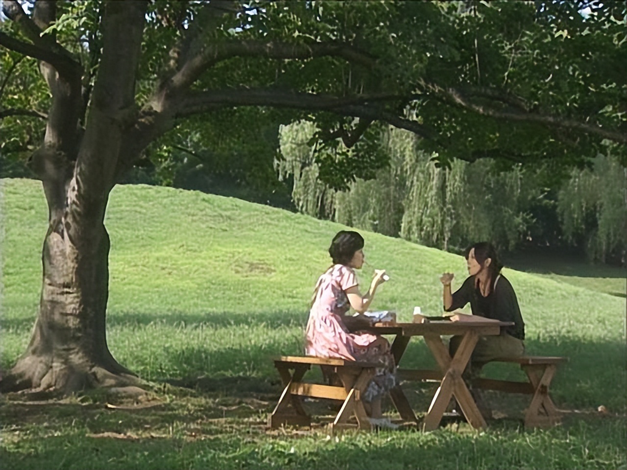 豆瓣8.8，一本无关爱情的同居生活指南，单身人士不得不读