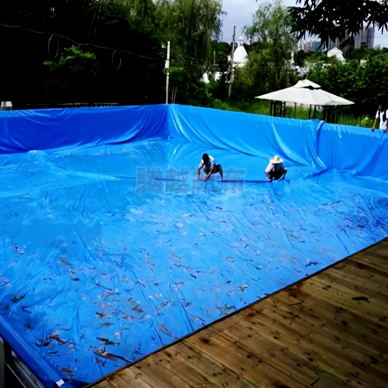 鱼塘漏水怎样堵水补漏,大型鱼塘漏水堵漏新型材料