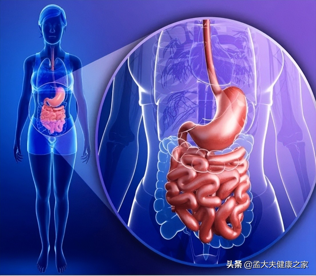 饭量大好还是饭量小更长寿,吃得少长寿应该怎么吃