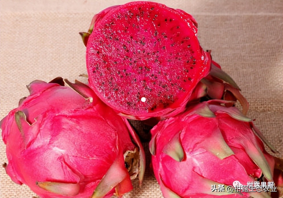 中国水果第一大省有多强视频,广西最大的水果基地