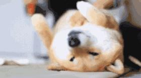 阿根廷人为什么这么有钱,阿根廷人有钱吗