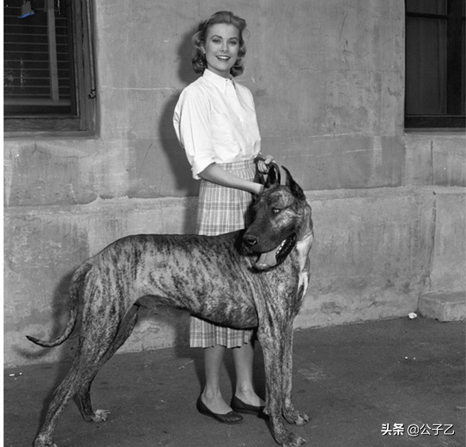 从影后到王妃在线阅读,从好莱坞影后到摩纳哥王妃