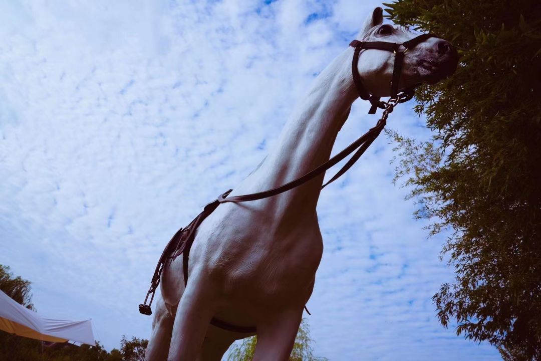 心动！那些藏在崇明民宿里的初秋小美好