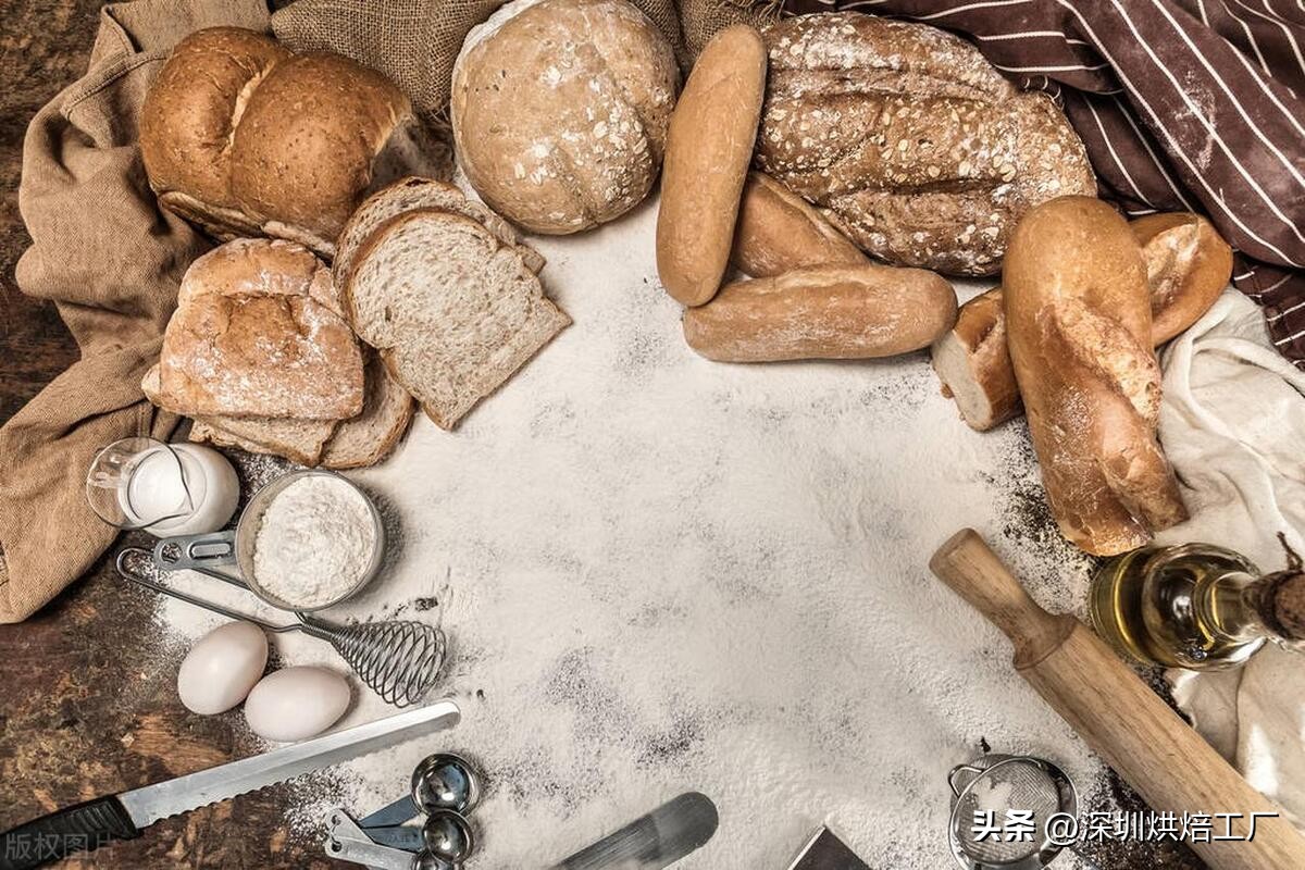 欧式面包有哪些品种 (欧式面包的特点是什么)