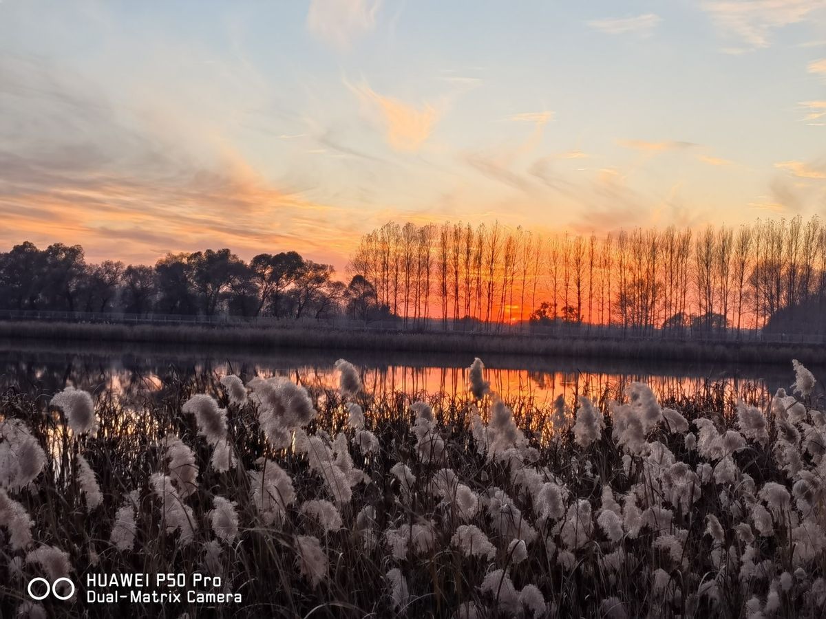 华为p50客观真实体验,华为p50使用体验最新