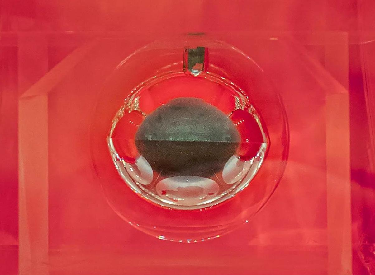 嫦娥四号新发现，月壤与美国的差别大！月球罕见物质：1吨值637亿