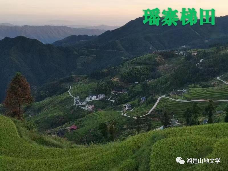 当年参加生产队劳动叫出工