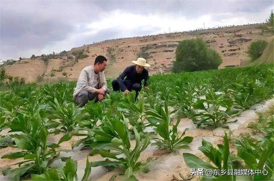 龙泉镇：平凡岗位二三事振兴路上显身手