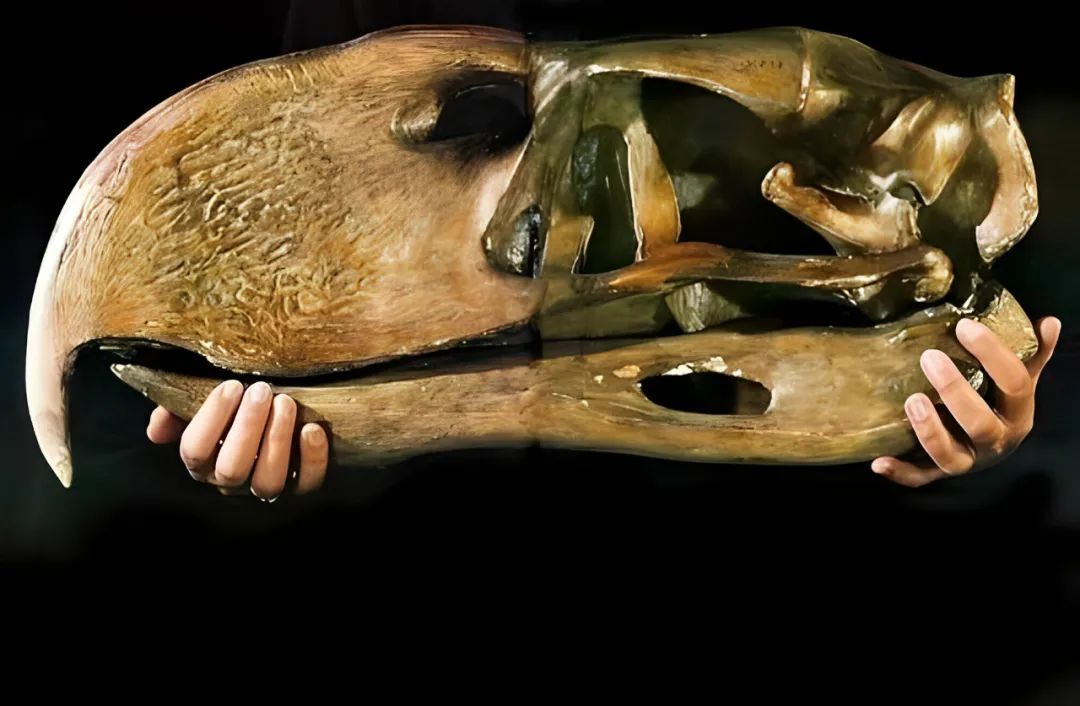 10张绝美站立姿图,20张让人涨知识的图片