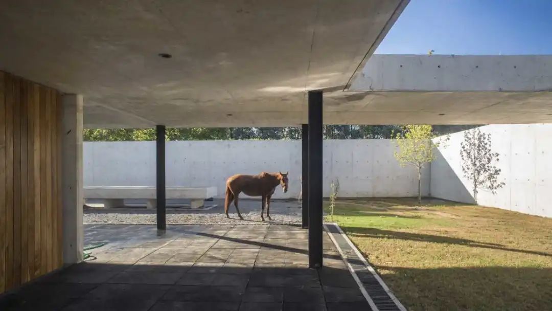 阿根廷EstudioRamos建筑事务所-真诚的现代主义！|EstudioRamos